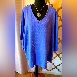 French Dot Textured V-neck Dolman Sleeve Lovely J Top Blue/Periwinkle (A)